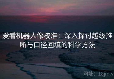 爱看机器人像校准：深入探讨越级推断与口径回填的科学方法