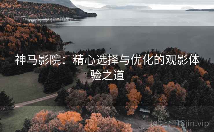 神马影院：精心选择与优化的观影体验之道